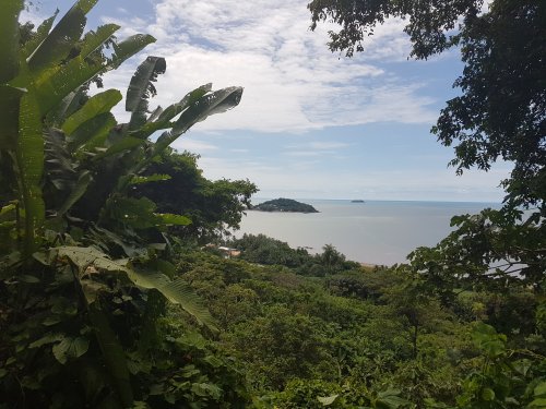 Cayenne - Le sentier du Rorota